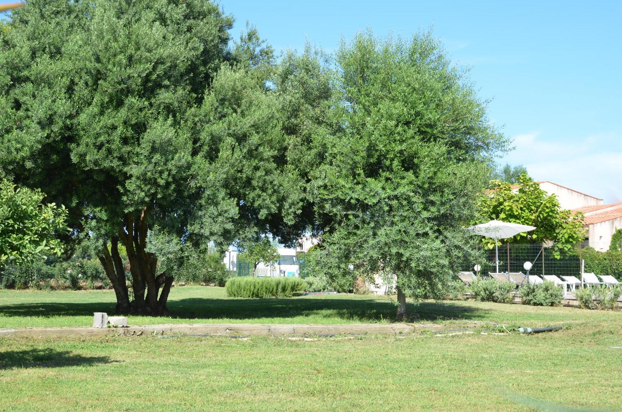Villa Teti - Sicilia Кампофеличе-ди-Роччелла Экстерьер фото